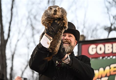 Punxsutawney Phil marks 1st Groundhog Day as a father - ABC News