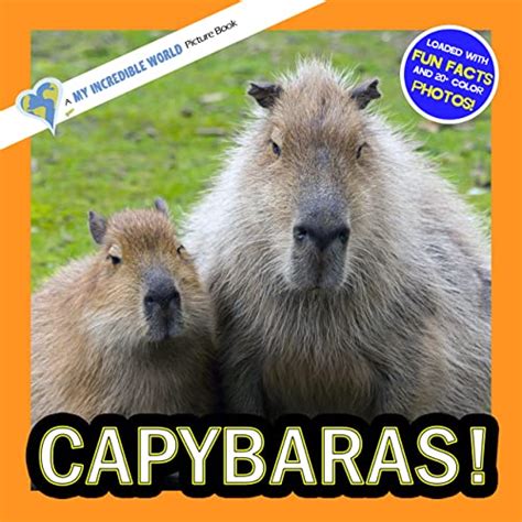 Capybaras!: A My Incredible World Picture Book for Children (My ...
