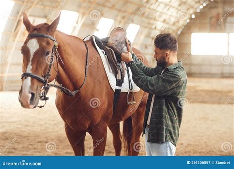 Installing the Saddle. Young Man with a Horse is in the Hangar Stock ...