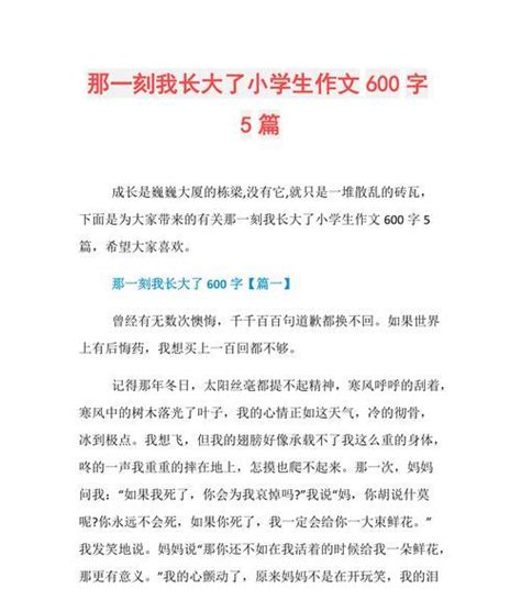 那一刻我豁然开朗作文600字（豁然开朗中考满分精选）-知文社