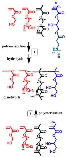 Vat Photopolymerization 3D Printing of Hydrogels with Re-Adjustable ...