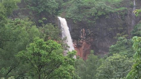 Radhanagari Wildlife Sanctuary (Kolhapur) - 2021 What to Know Before ...