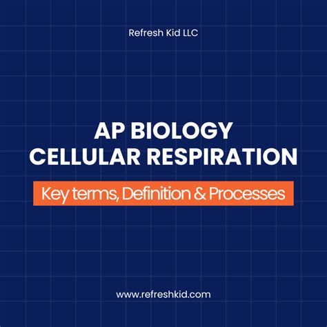 AP Biology Cellular Respiration: Key terms, Definition & Processes