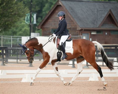 Image result for Tryon Equestrian Center Mill Spring NC