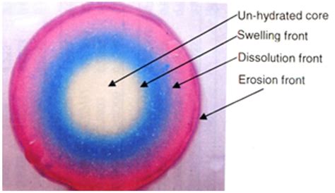 Formulation development and evaluation of sustained release matrix ...