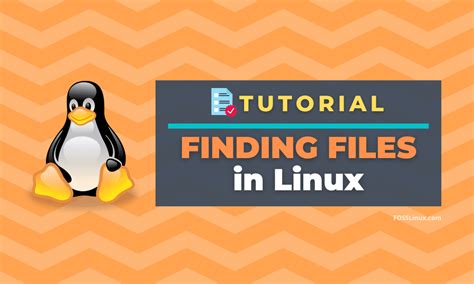 How to Find a File in Linux 的图像结果