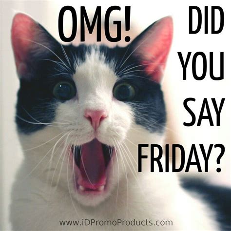 OMG! Did You Say FRIDAY? | Friday quotes funny, Friday humor, Happy ...