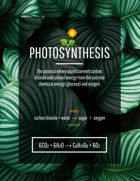 Image result for Poster Layout Guide