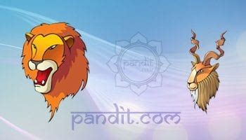 Leo Love Sign Compatibility - Matches for Leo - Pandit.com