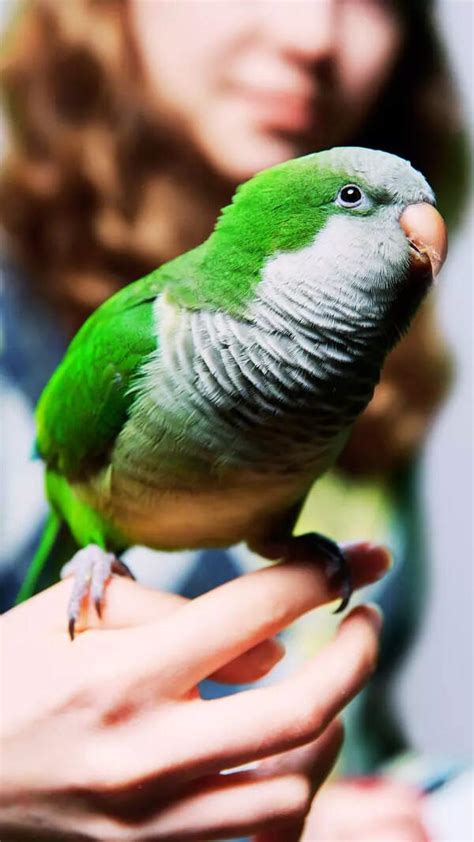 This airlines’ latest offer will let travellers fly from India to ...