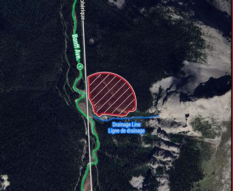 Black bear hibernation triggers area closure on west side of Eagle Mountain - DiscoverAirdrie ...
