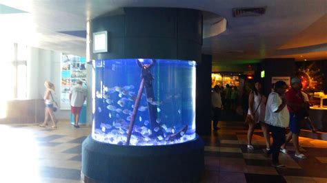 Two Oceans Aquarium, Cape Town