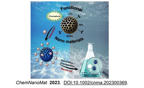 Institute of Nano Science and Technology