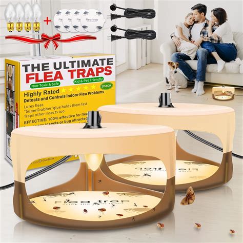 Amazon.com : Flea Traps for Inside Your Home, Sticky Bed Bug Flea Traps ...