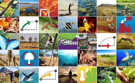 Introduction — lesson. Science State Board, Class 8.