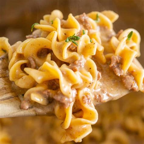 INSTANT POT HAMBURGER HELPER STROGANOFF | The Country Cook
