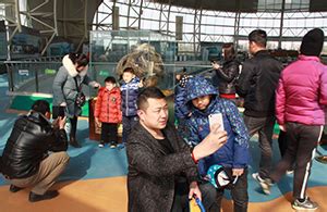 在这里，您能了解“恐龙在中国”最有趣的故事！-活动讯息-中国科学技术出版社