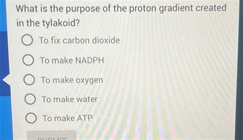 Image result for Proton Gradient