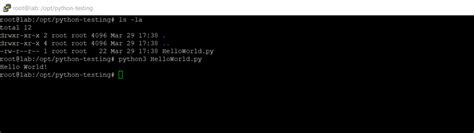 How to Enable Python 的图像结果