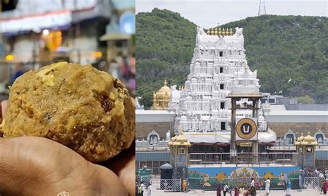 తిరుమల శ్రీవారి భక్తులకు గుడ్‌న్యూస్‌ | TTD gave good news to Tirumala ...