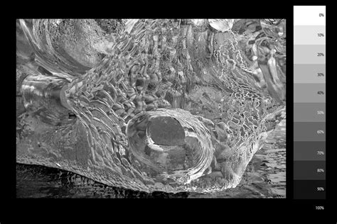 Digital Negative Tutorial 的图像结果