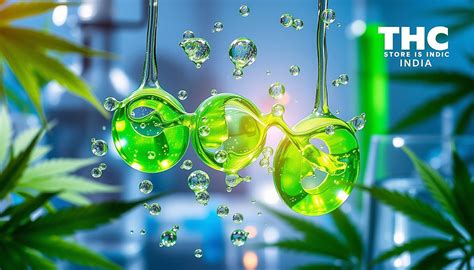 Water-Soluble Cannabinoids: The Future of CBD Products| THC STORE INDIA