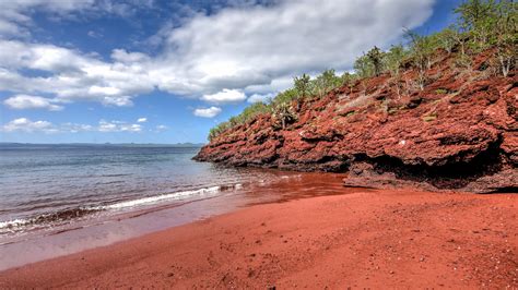 The 'unreal' red sand beach with sea lions and flamingos | The US Sun