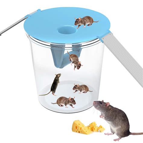 Amazon.com : Camtoms Humane Mouse Trap Bucket Lid | Smart Bucket Lid ...
