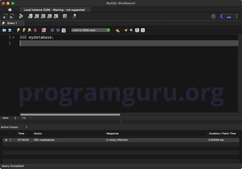MySQL Use in Insert 的图像结果