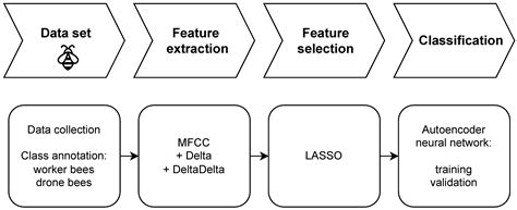 MFCC Selection by LASSO for Honey Bee Classification