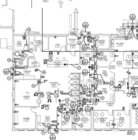 Local Network Map 的图像结果
