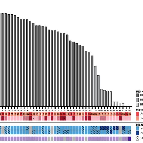 Test Recap 的图像结果