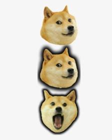 Image result for Classic Shell Green Start Button