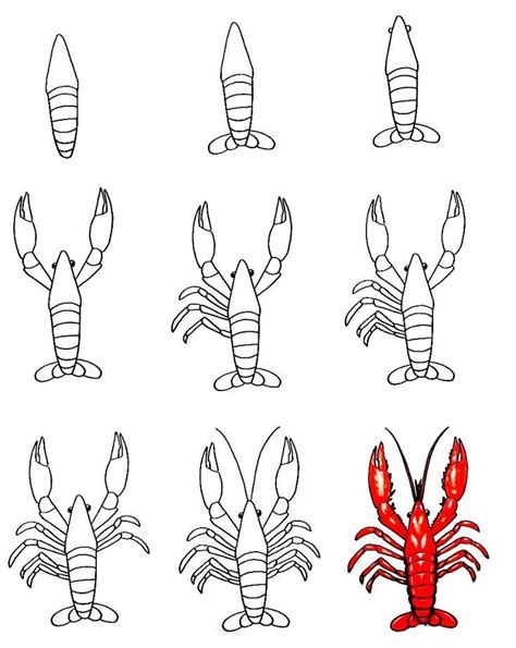 Image result for Simple Lobster Drawing