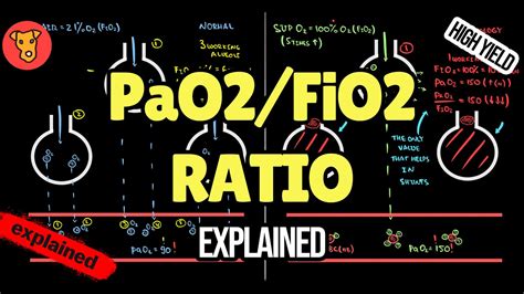 Image result for FiO2 Calculation