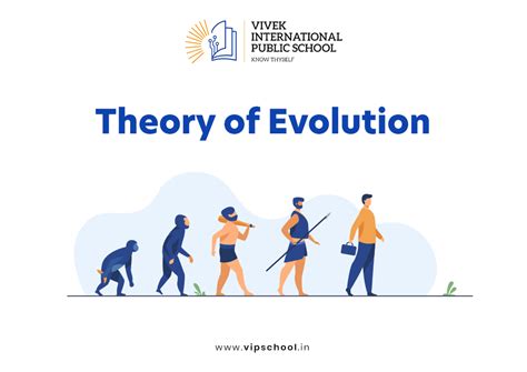 Evolution Theory Explained 的图像结果