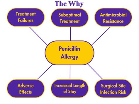 Allergy Pen 的图像结果