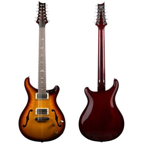 Image result for 12 String Instruments