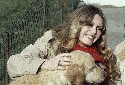 Brigitte Bardot, 1960s French sex symbol turned militant animal rights activist, dies at 91