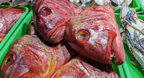 Indonesian government matchmaking suppliers with CP Foods to boost seafood exports to US ...