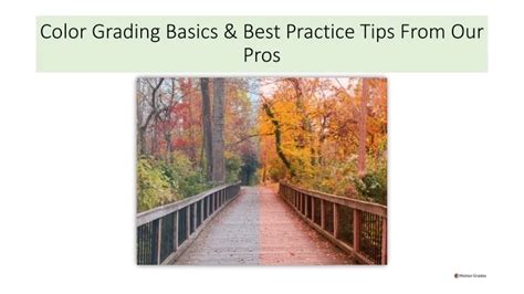 Image result for Color Grading Basics