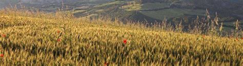 Image result for CMC Project