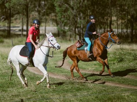Chapman Valley Horse Riding, singleton, Australia - Top Attractions ...