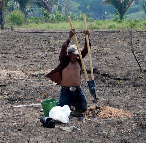 Maya Farming Methods Pictures