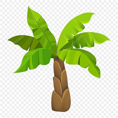 Mata De Platano Vector