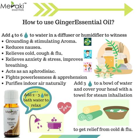 Ginger Essential Oil for Energizing | Meraki Essentials