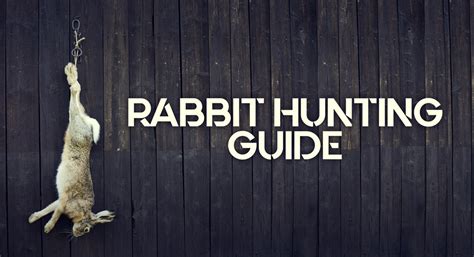 Rabbit Hunting Tips 的图像结果