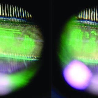 Image result for Micro LED Panel