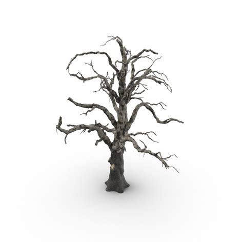 Seven Deadly Sins Merlin R34 PNG Images & PSDs for Download | PixelSquid