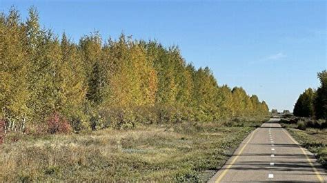 Велосипедный парк в Астане - Парк, сквер и аллея - фото, цены, адреса ...